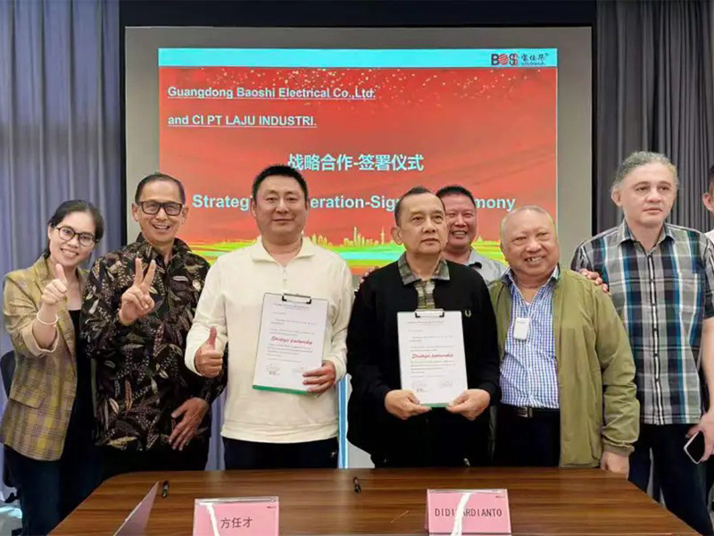 印尼当局高层代表团莅临NG官网电气，共谱战术合作新篇章
